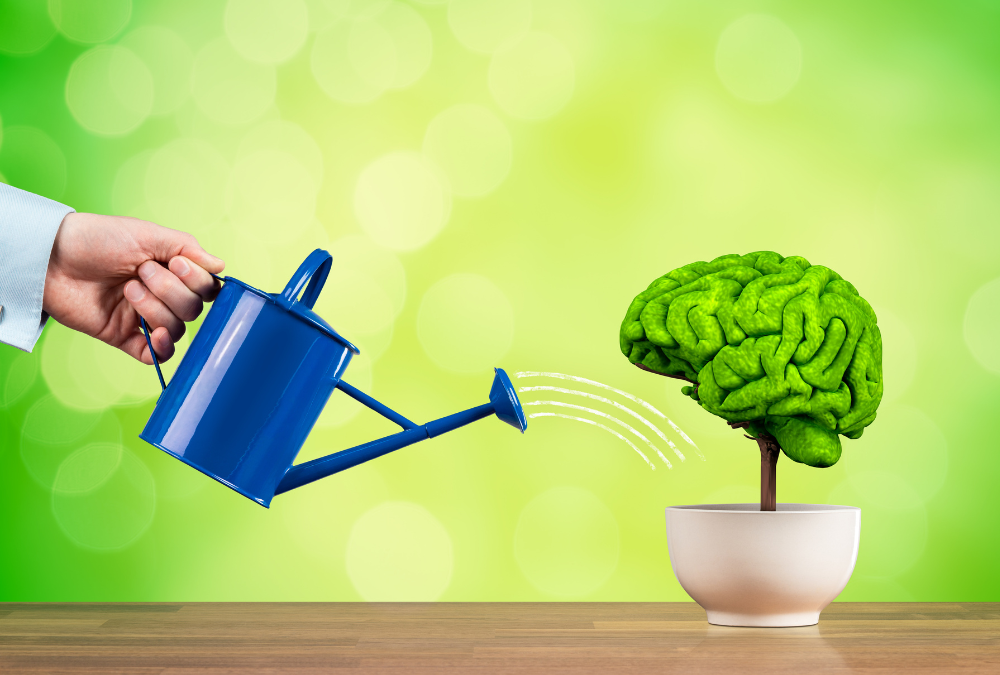 How Many Neurofeedback Sessions Do You Need? A Realistic Look at Brain-Based Healing